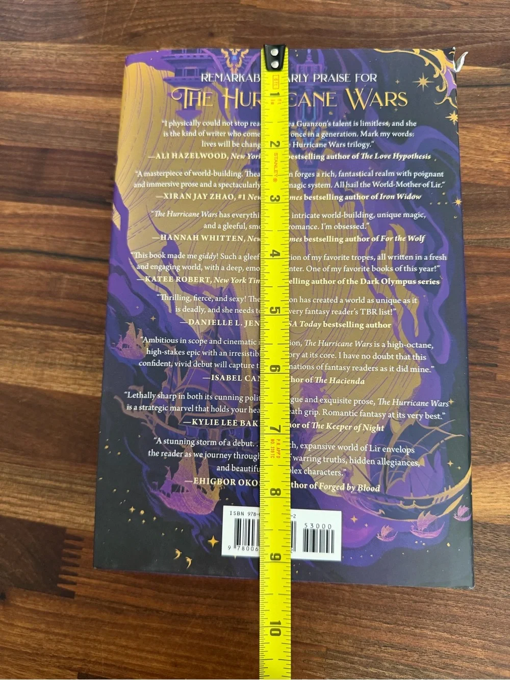The Hurricane Wars by Thea Guanzon - Picture 7 of 10